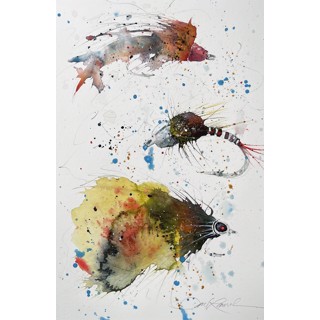 Fly Favorites (Sheraton) by David Rawlinson Fly Favorites (Sheraton) by David Rawlinson
