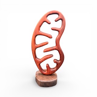 Available Artwork | NeuroWoodworks