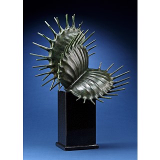 Venus Fly Trap by Tony Hochstetler Venus Fly Trap by Tony Hochstetler