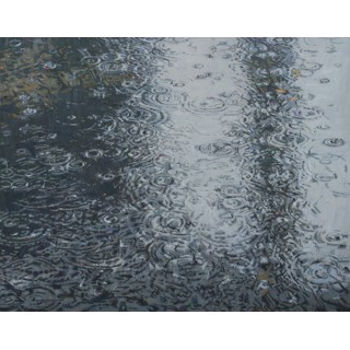 Raindrops by Dianne L Massey Dunbar Raindrops by Dianne L Massey Dunbar
