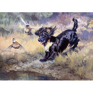Julie Jeppsen | Wilcox Gallery
