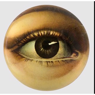 John Derian | Signature Art Gallery