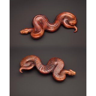 Boa by Tony Hochstetler Boa by Tony Hochstetler
