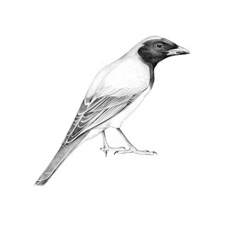 Jane Kim | Andra Norris Gallery