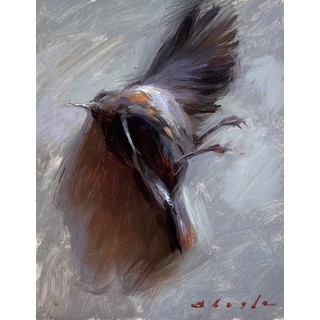 Bird by Suchitra Bhosle Bird by Suchitra Bhosle