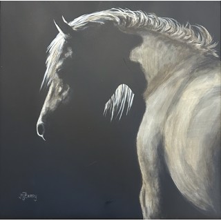 Shadows by Marci Joy Berry