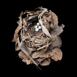 Sharon Beals | Upstart Modern