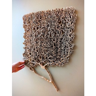 NODEL DESIGN × solworks solol wood NODEL DESIGN × solworks solol wood