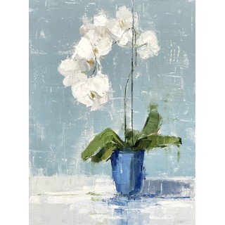 Barbara Flowers | Jules Place
