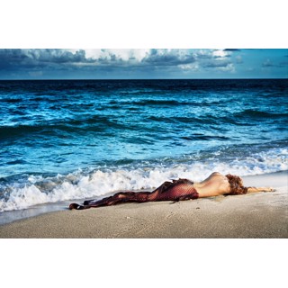 David Drebin 洋書写真集 David Drebin 洋書写真集 David Drebin | Empire of Dreams
