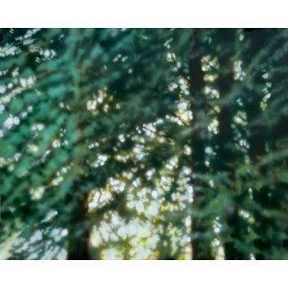 Emma Ballou | Art and Light Gallery