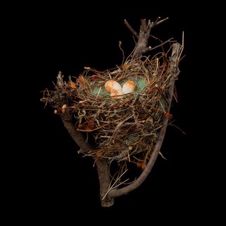 Sharon Beals | Upstart Modern