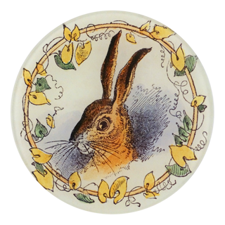 John Derian | Signature Art Gallery John Derian | Signature Art Gallery