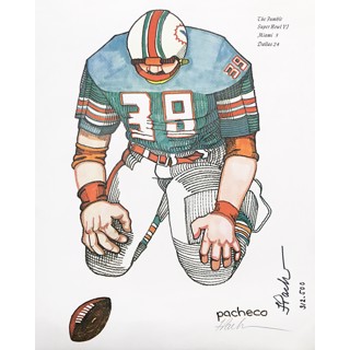 Miami Dolphins Balloon 26in x 25in - Jersey