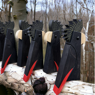 Red Tailed Black Cockatoo