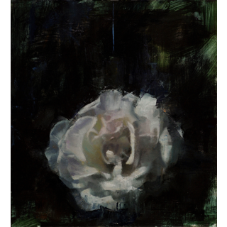 Rose at Dusk by Scott Conary Rose at Dusk by Scott Conary
