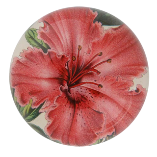 John Derian | Signature Art Gallery John Derian | Signature Art Gallery