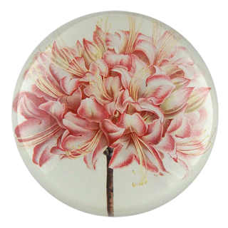 John Derian | Signature Art Gallery John Derian | Signature Art Gallery