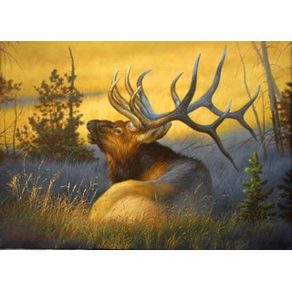 Clear Passage by Tom Mansanarez Deer Print 28x20.5 Clear Passage by Tom Mansanarez Deer Print 28x20.5