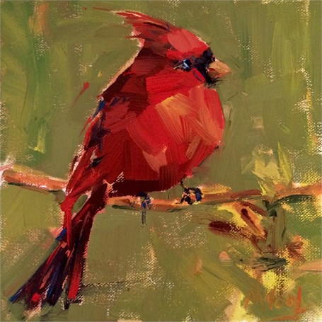Pretty Bird