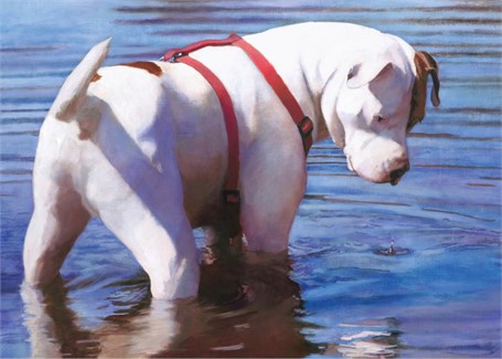 Dog Days Dog Days