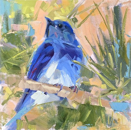 Little Baby Blue