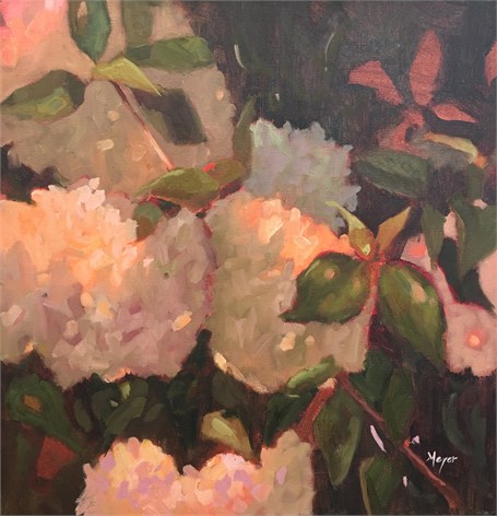 Hydrangeas Aglow
