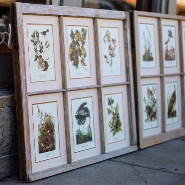 A set of framed botanical prints