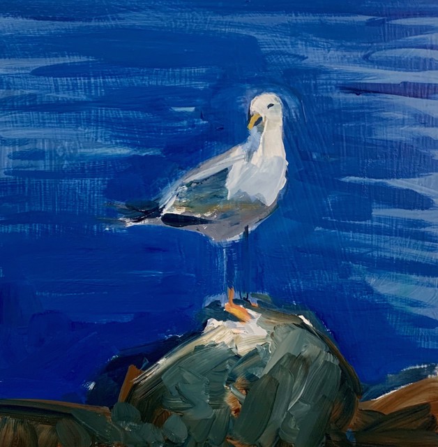 Craig Mooney | Gull | Oil on Panel | 12" X 12" | $950