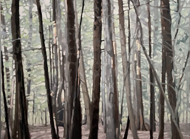 Liz Hoag | Woods Warmth | Acrylic | 36" X 48" | $5,800