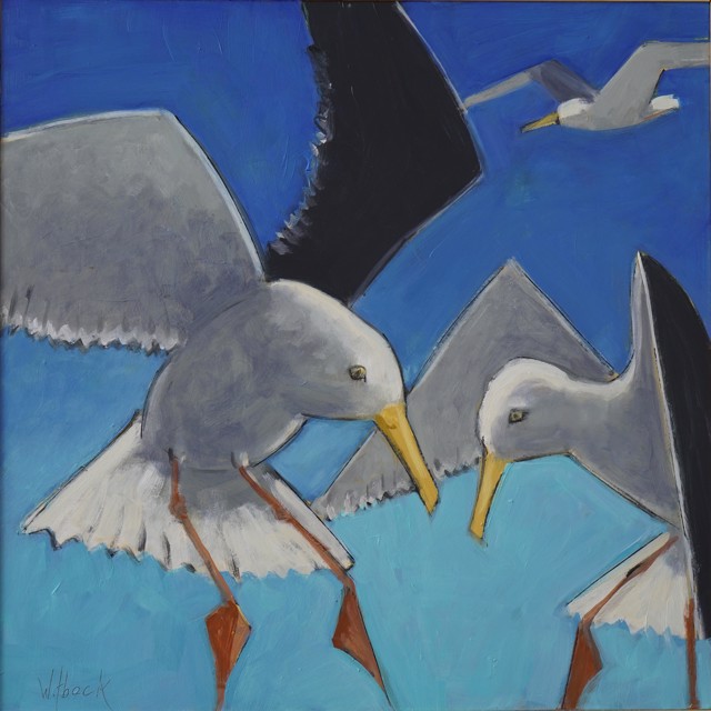 David Witbeck | Gull Study #2 | Oil On Panel | 16" X 16" | $2,100
