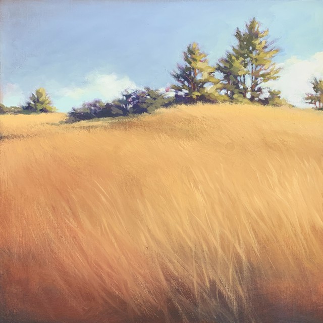 Margaret Gerding | Golden Seagrass | Oil on Canvas | 18" X 18" | $2,800