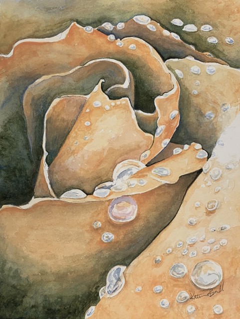 Dewdrops on Roses