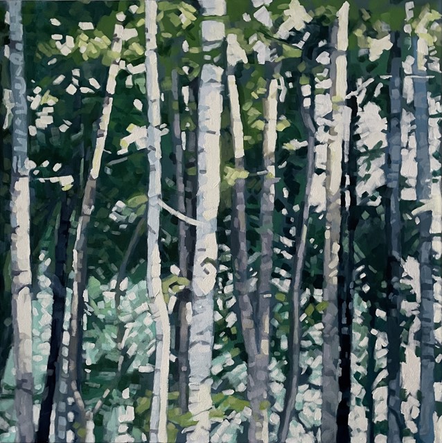 Liz Hoag | Dappled Birches | Acrylic on Canvas | 30" X 30" | $3,300