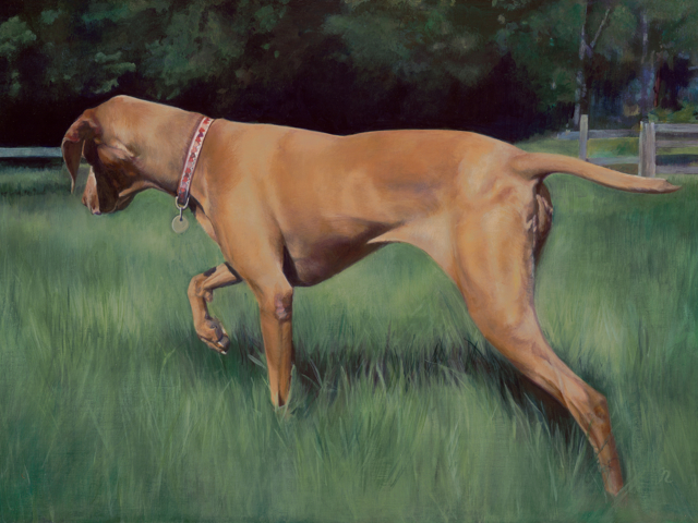 Gloria Najecki | Lucy in the Field | Acrylic on Linen on Panel | 18" X 24" | Price on Request