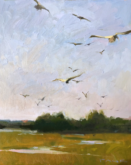 Marsh Gulls