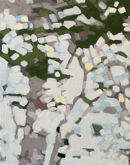 Liz Hoag | Up Close | Oil on Canvas | 20" X 16" | $1,400