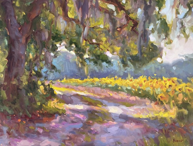 Sunflower Trail