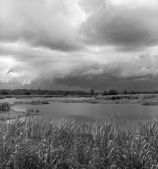 Stormy Wetlands