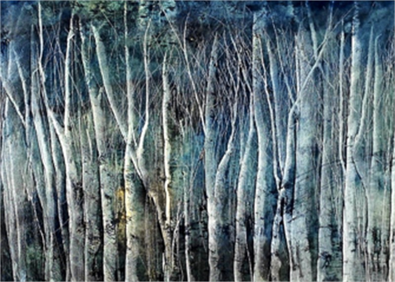 Toni Swarthout