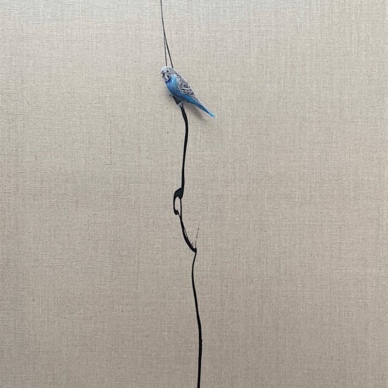 Colin Passmore