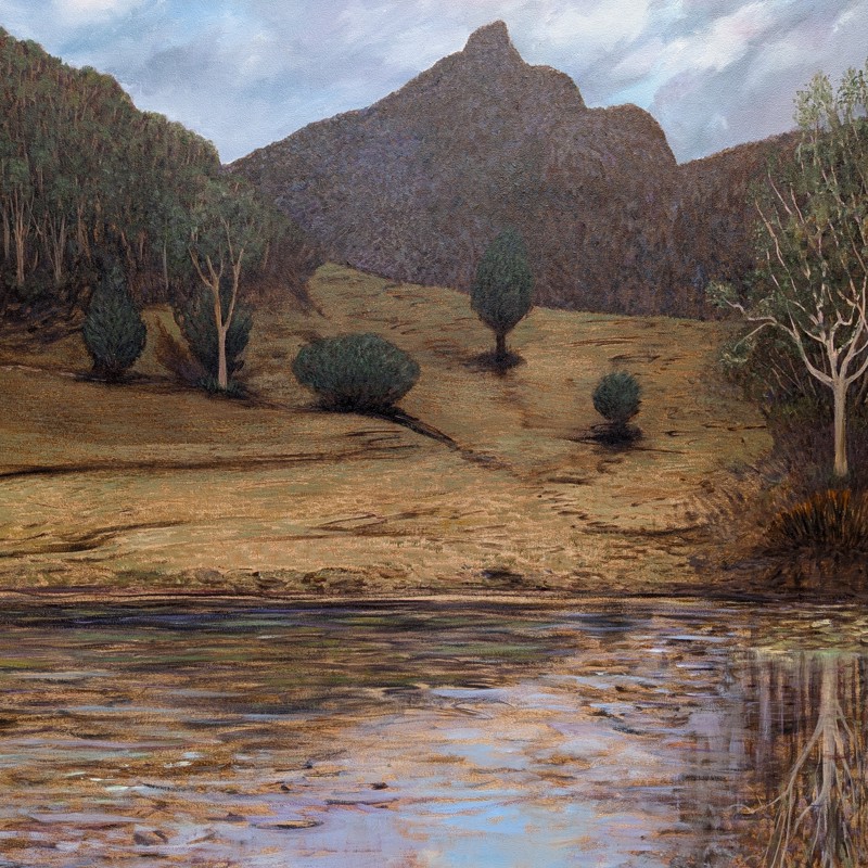 Stephen Phibbs