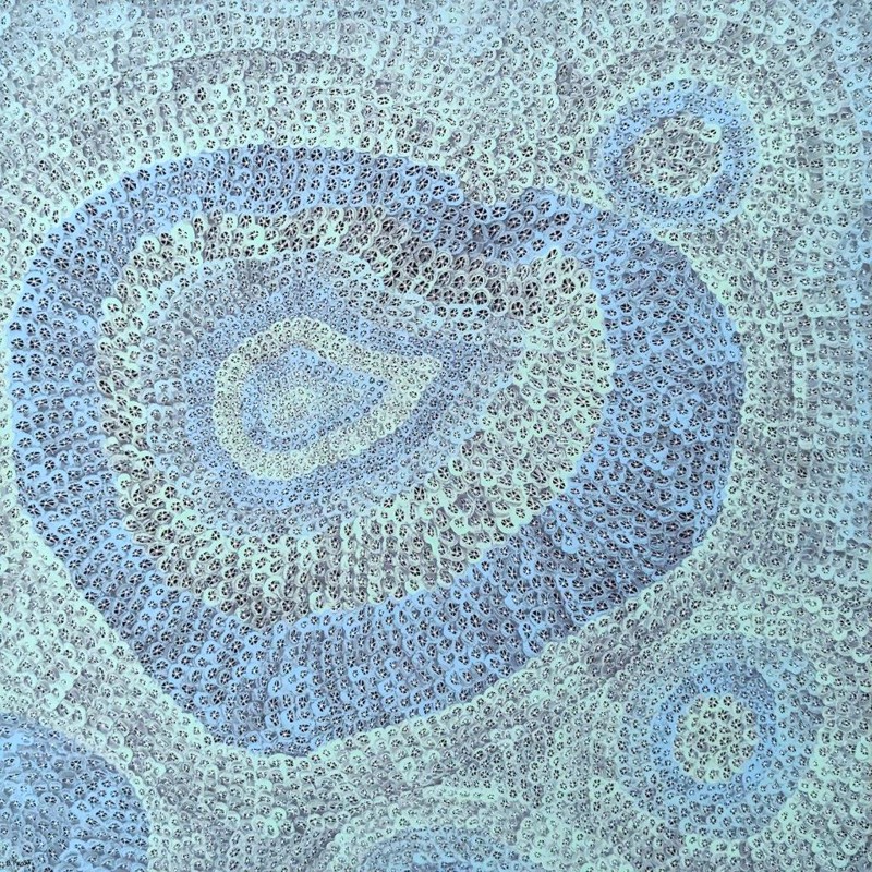 Heart of Coral