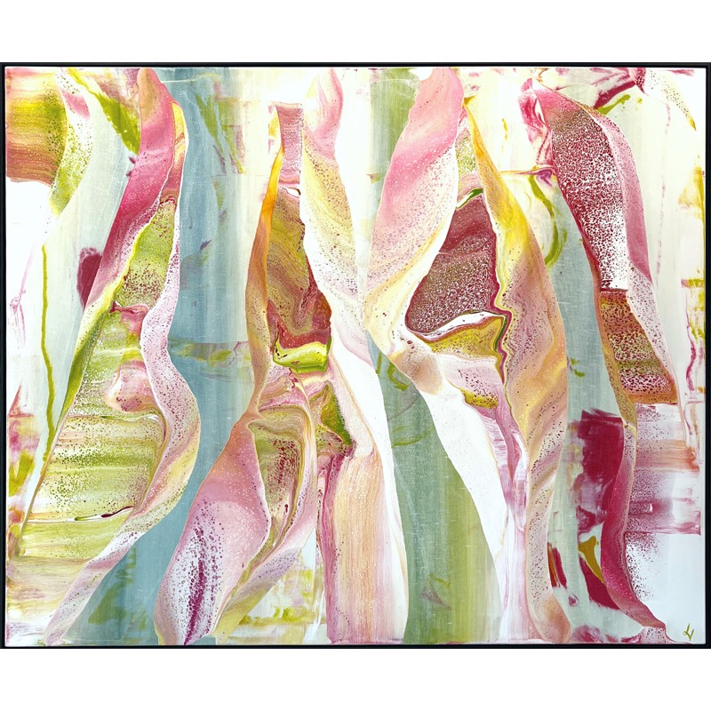 Rainbow Gum