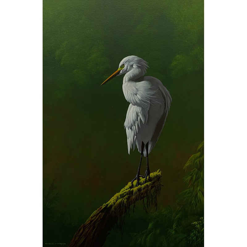 Great Egret