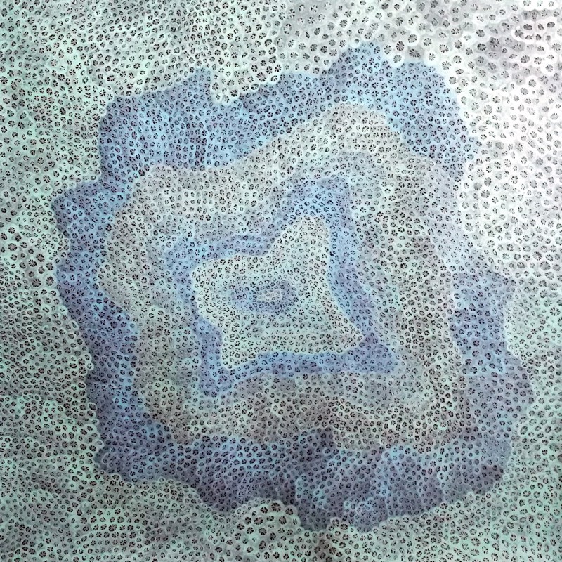 Coral Song 1
