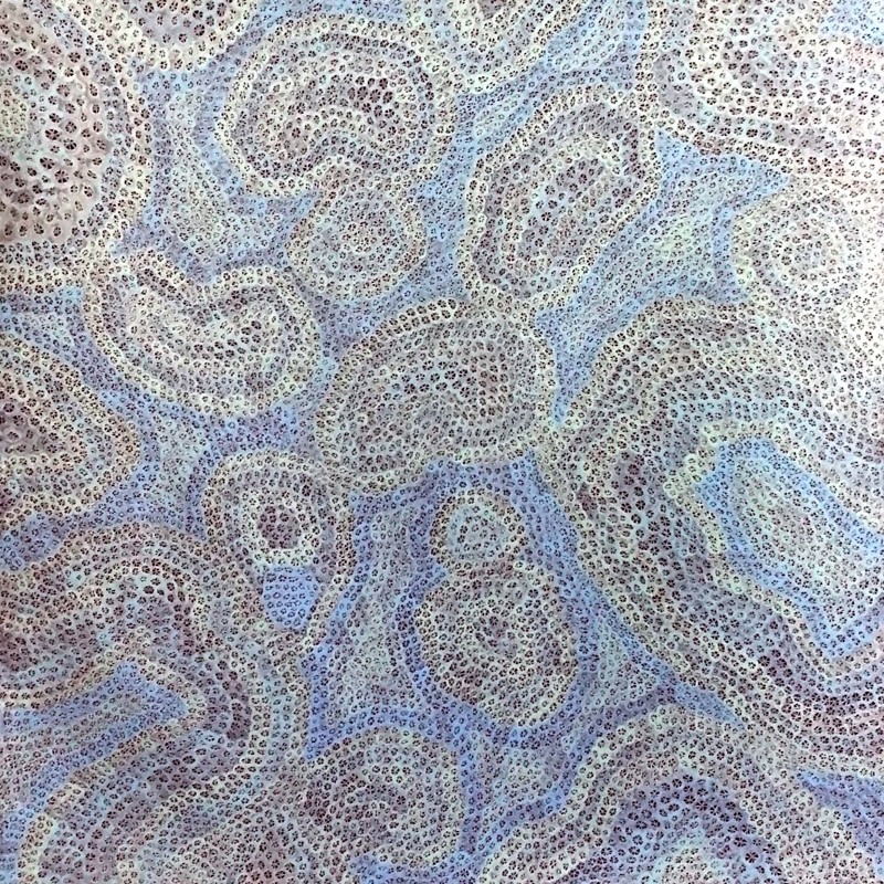 Coral Song 2