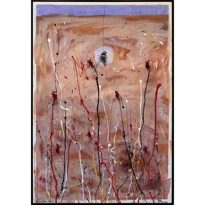 Zebra Finch Desert