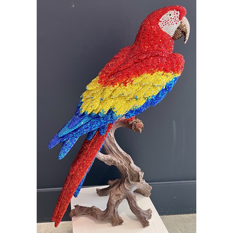 Parrot