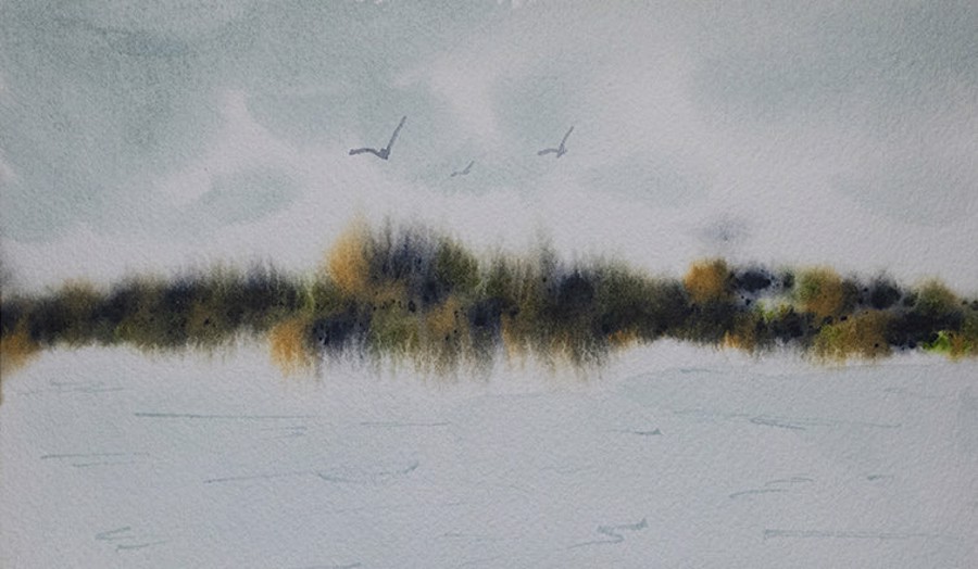 Seabirds and Dunes